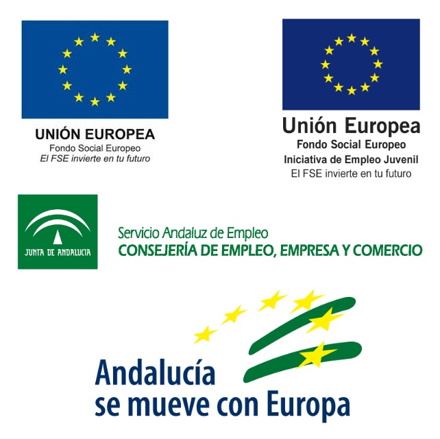 Programa de Fomento del Empleo Industrial y Medidas de Inserción Laboral en Andalucía 1