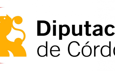 Subvención archivo Diputación 2019
