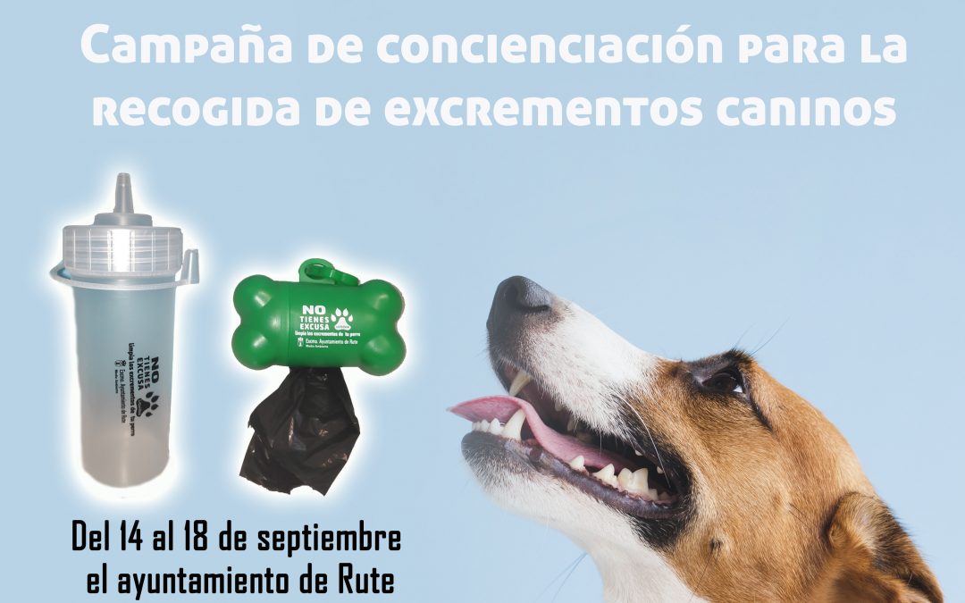Campaña de concienciación para la recogida de excrementos caninos 1
